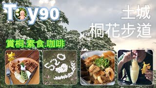 Toy90 輕旅行：土城桐花步道賞桐素食咖啡2019 (Toy32's續集)