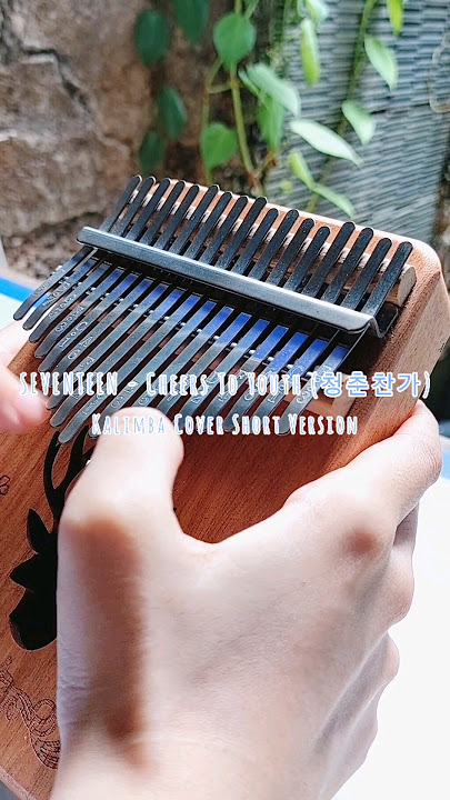 SEVENTEEN - CHEERS TO YOUTH (청춘찬가) Kalimba Cover Short Version