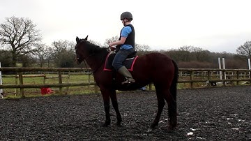 Mounting and riding using positive reinforcement and bitless