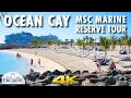 Ocean Cay MSC Marine Reserve Tour ~ MSC Cruises [4K Ultra HD]