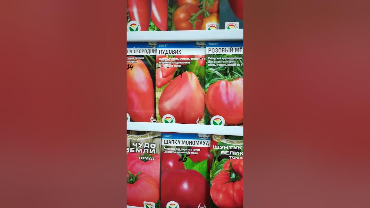 томат сибирский сибсад. сорта томатов сибирский сад каталог. томат батяня сибирский сад. томат боец сибирский сад. томат мамстон f1 5шт.