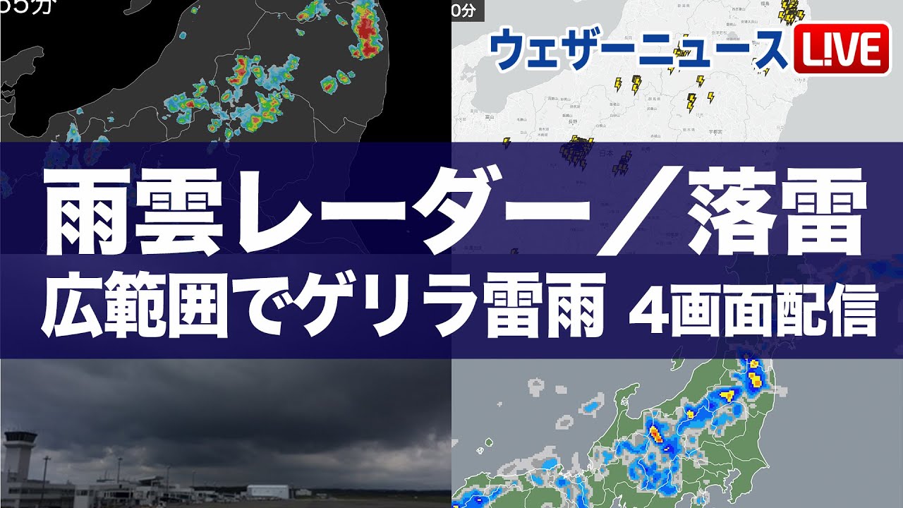 雨雲／落雷ライブ】広範囲でゲリラ雷雨 雨雲レーダー／落雷レーダー