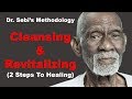 Dr sebis method for cleansing and revitalizing the body  2 steps to healing