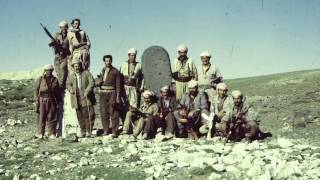 Rasti ... Êdi Ez Ji Heme .