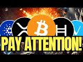 CRYPTO POST MARKET CRASH UPDATE 🚨 | EVERY SINGLE HOLDER REALIZE THIS NOW (VET, HBAR, BTC, XRP, ADA)