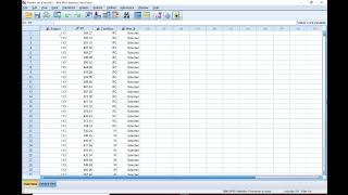 SPSS: Creating Filters, Aggregating Data, Restructuring Data Net Worth