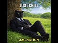 JUST CHILL By JAG NATION Written By Warren Hallmon mp3