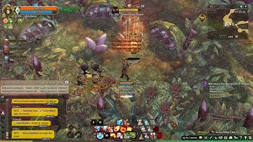 Tree of Savior: Alemeth Forest Solo Farming (Elementalist )