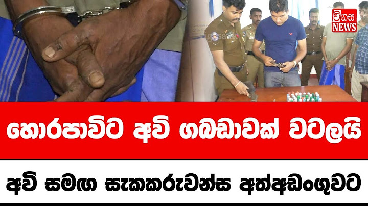 හොරපාවිට අවි ගබඩාවක් වටලයි අවි සමඟ සැකකරුවන්ස අත්අඩංගුවට