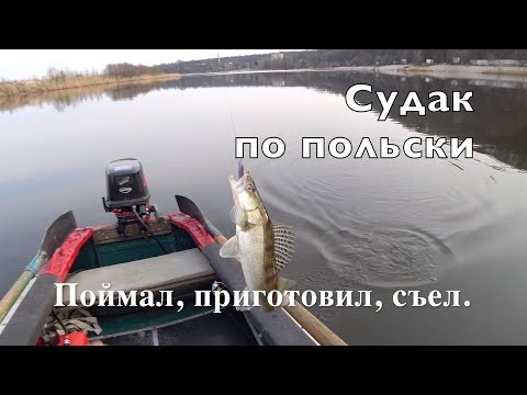 СУДАК ПО ПОЛЬСКИ. По рецепту Ильи Лазерсона.