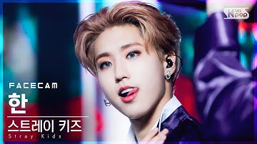 [페이스캠4K] 스트레이 키즈 한 