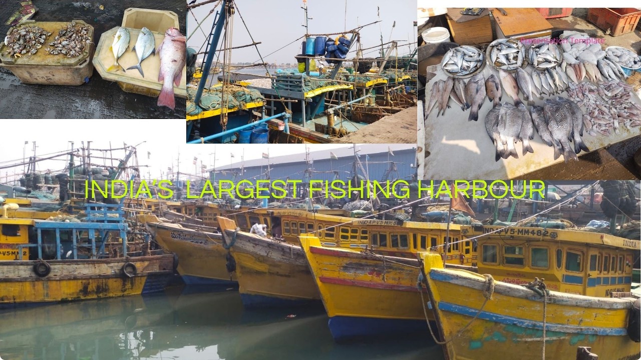 "Exploring The India's Largest Fishing Harbour , The Visakhapatnam Fishing Harbour"