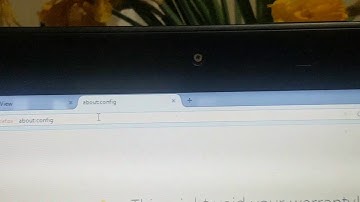 Temp Fix for Firefox (Hik Vision Web Components