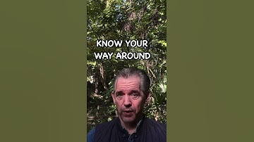 Jobs in Japan: tour guide