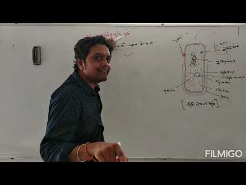 Std-11 ll Biology ll Ch-8 ll કોષ:જીવનનો એકમ ll Lec-3 ll