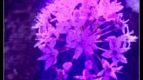 Compression with SVD(Singular Value Decomposition)