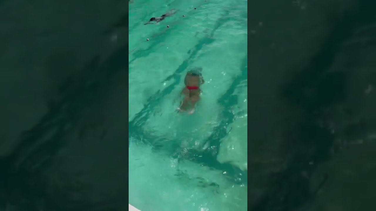 Made from recycled ocean plastic, designed for both training & leisure 🐬 