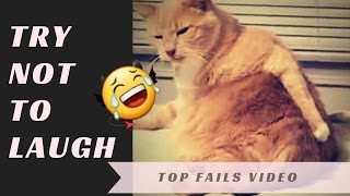 Try Not To Laugh Watching Funny Fails Compilation / Best Compilation June 2017 - Vine Age