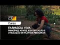 Curso Farmácia Viva   Princípios Ativos, Identificação e Utilização de Plantas Medicinais l CPT