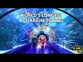 Antalya Aquarium Full Tour 2026 🦈 Walking Through the Ocean (4K)