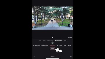 Adding D-Log M Effect in LightCut