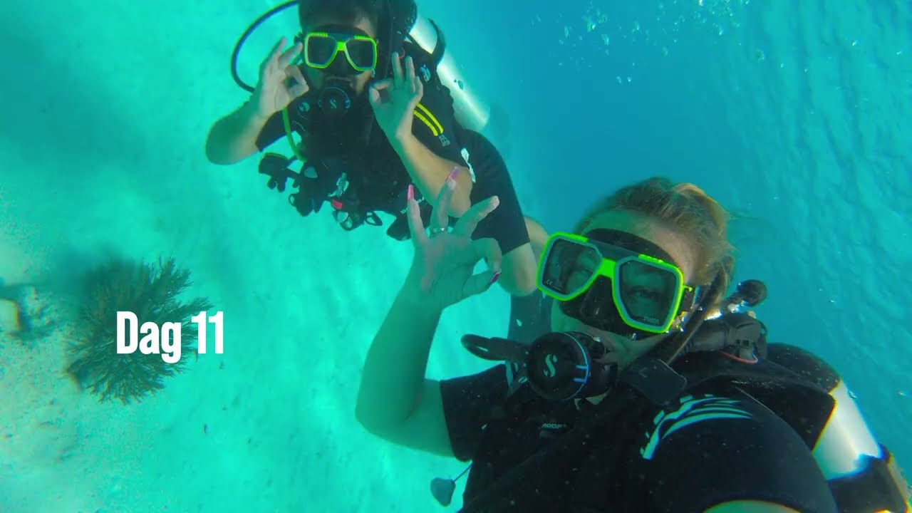 Vakantie Bonaire 2025 de mooiste plekken 🌴🇧🇶