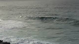 Bronte & Tama Surf Check Wednesday May 8th 2024 8:45am