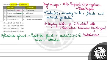 Match the column-I with column-II. \begin{tabular}{|l|l|l|l|} \hline \multicolumn{2}{|l|}{ Colum...