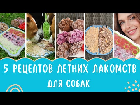 5 БЫСТРЫХ ЛЕТНИХ РЕЦЕПТОВ ДЛЯ ЛИЗАТЕЛЬНОГО КОВРИКА | Замороженные Вкусняшки Для Собак | МОРОЖЕНОЕ!!!