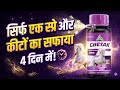 रस चूसक कीटो को कैसे मारे?Chetak Insecticide।Aventis। Fipronil 4%। Thiamethoxam 4%।Fertilizer ExperT