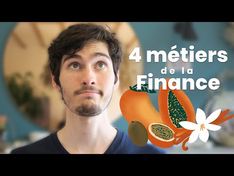 Vidéo: Quels sont les domaines de la finance ?