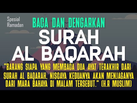 Surah Al Baqarah سورة البقرة  Dengan Suara Indah Membuat Hati Tenang