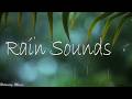 Rainstorm Sounds for Relaxing, Focus or Deep Sleep #020  Nature White Noise 💕 10 Hour Video