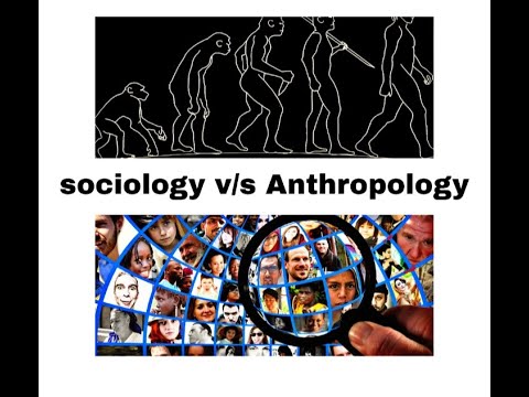 Anthropology Sociology,Crime,Eco Innovations,Economics,Environmental,Politics