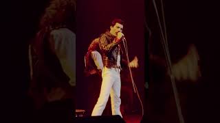 “Live And Dangerous In 1981” 🎸 #Queenrockmontreal #Queen #Shorts