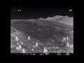 Sangliers et rapace nocturne de nuit dans les alpes camra thermique