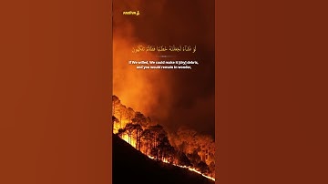Al Waqi'ah (63-67) | Heart Warming Quran | Ustaz Nafis Yaakob | سورة الواقعة
