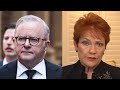 ‘Knows he’s in trouble’: Hanson claims Albanese will call early election
