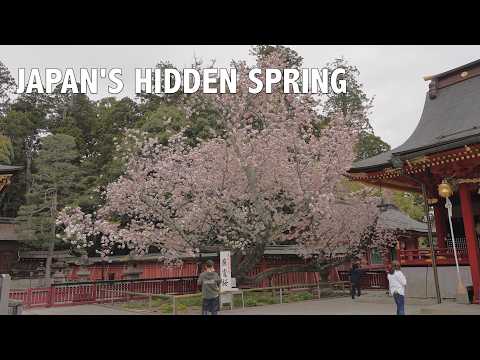Beyond Sayumi Sutra: Unexpected Discoveries