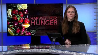 WBNG, Catholic Charities of Broome County to host annual Harvest for Hunger and Hope telethon