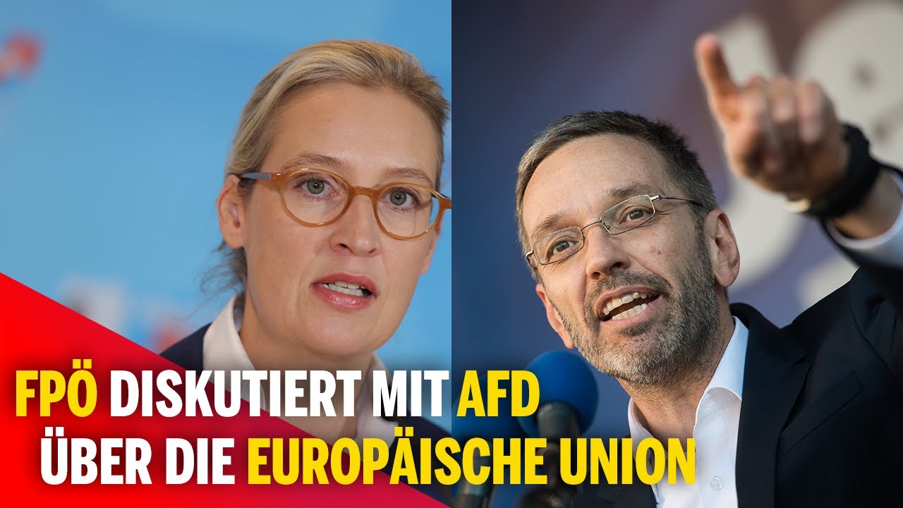 FPÖ diskutiert mit AfD über die Europäische Union - YouTube