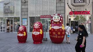 【メンバー特典動画】ハルビン旅1日目のロング版