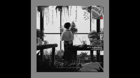 تلاوة خاشعة وآيات مباركة من سورة الزمر📚|القارئ مشاري بن راشد العفاسي|حالات واتس اب إسلامية💞