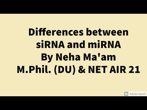 Differences between siRNA