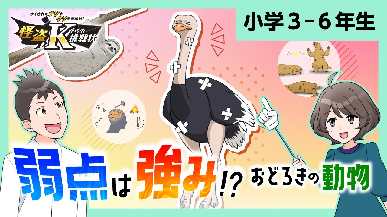 なぜ！ダチョウとナマケモノが強いの？｜進研ゼミ - YouTube
