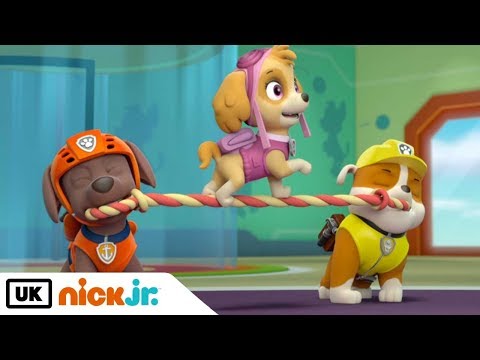 Paw Patrol | Pups Save a School Bus | Nick Jr. UK