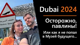 04 Dubai 2024 - Музей будущего, La Perle, фонтаны или как провести один день в Дубае.