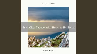 Instant Raindrops with Clear Nature Tunes pt. 2