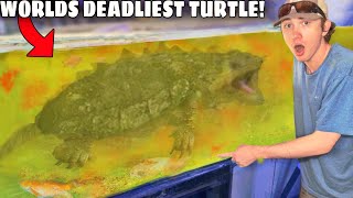 I Bought the World's DEADLIEST Turtle! screenshot 3