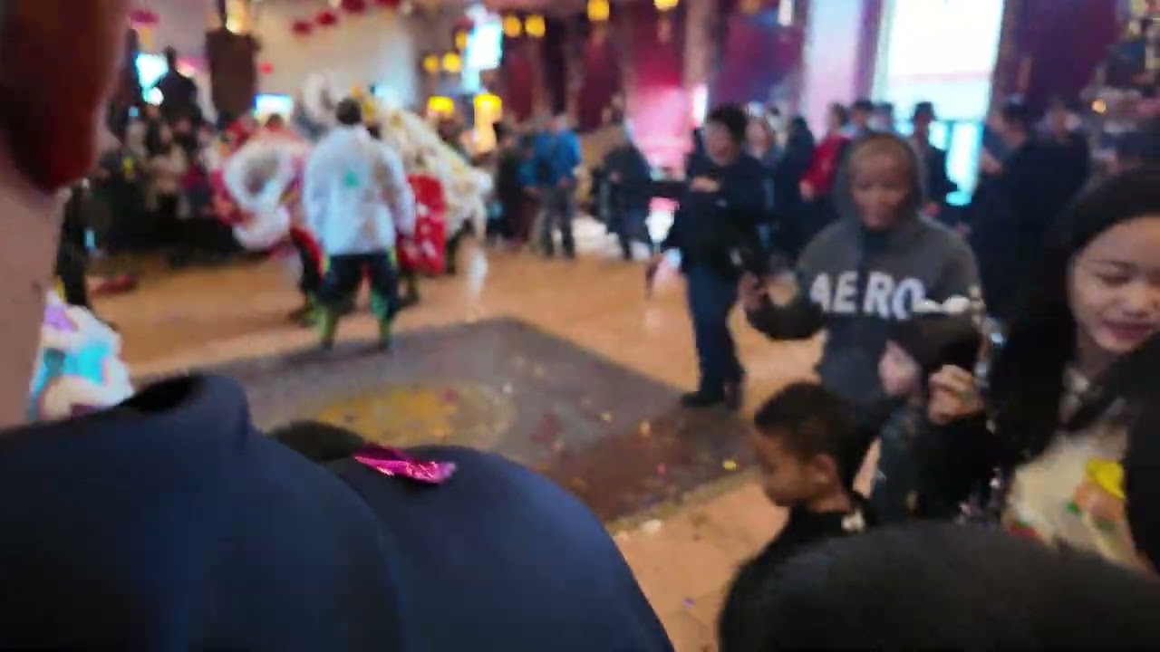 Teo Chew Temple Lion Dance team, Lion Dance and Kung-Fu. January 12, 2025.